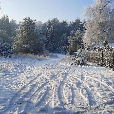 Domek Caloroczny Nad Jeziorem Budzislawskim, Wielkopolska Na Wynajem Anastazewo Exteriör bild