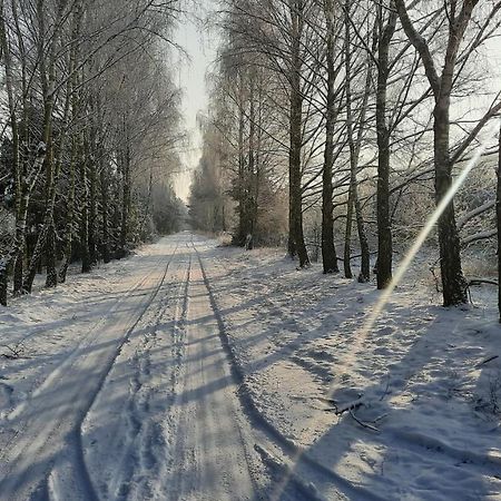 Domek Caloroczny Nad Jeziorem Budzislawskim, Wielkopolska Na Wynajem Anastazewo Exteriör bild