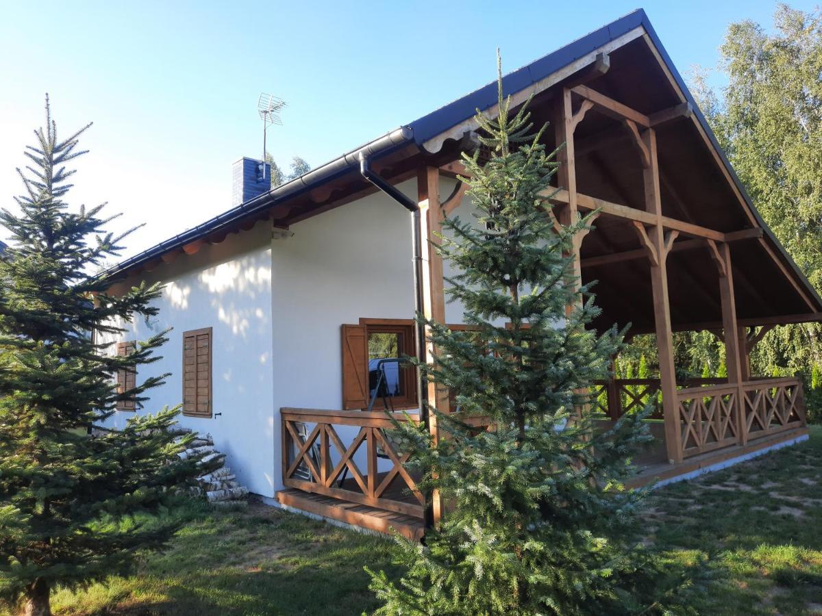 Domek Caloroczny Nad Jeziorem Budzislawskim, Wielkopolska Na Wynajem Anastazewo Exteriör bild