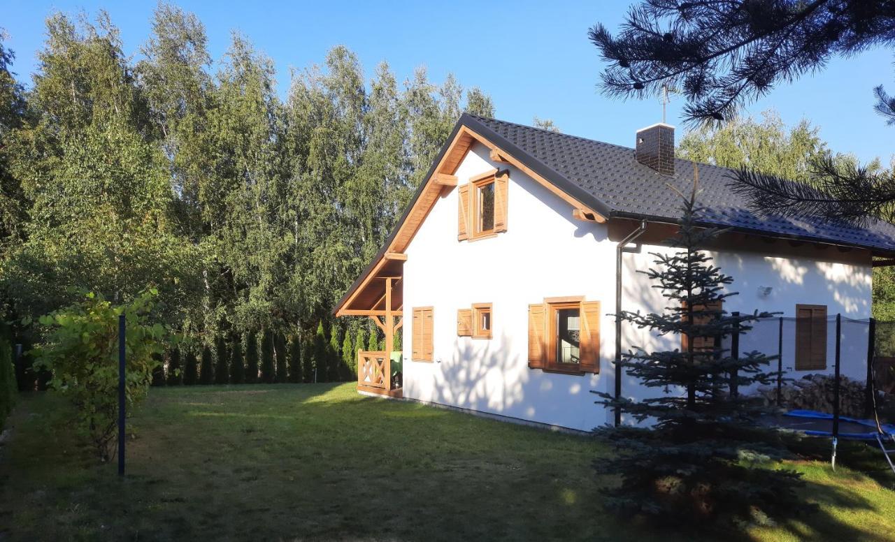 Domek Caloroczny Nad Jeziorem Budzislawskim, Wielkopolska Na Wynajem Anastazewo Exteriör bild