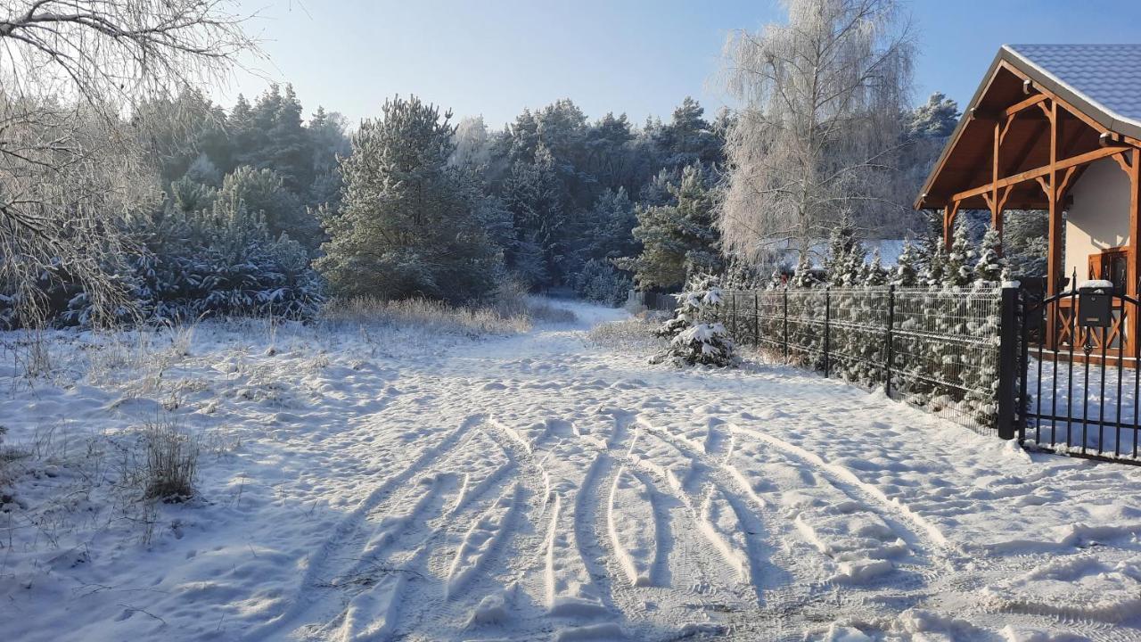 Domek Caloroczny Nad Jeziorem Budzislawskim, Wielkopolska Na Wynajem Anastazewo Exteriör bild