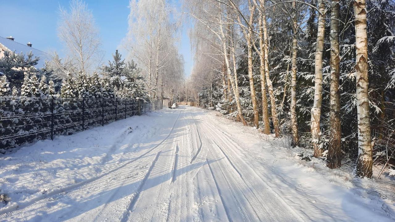 Domek Caloroczny Nad Jeziorem Budzislawskim, Wielkopolska Na Wynajem Anastazewo Exteriör bild